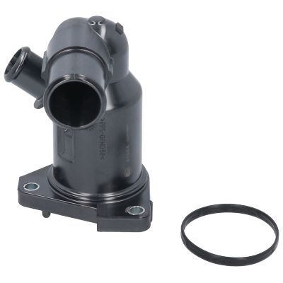 FLANSA LICHID RACIRE BIRTH 81054