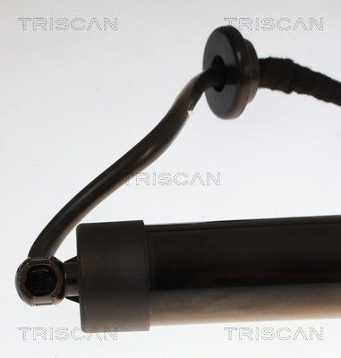 Plynárenská vzpera (pneumatická pružina), zavazadlový priestor TRISCAN 8710 25301