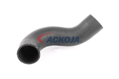 FURTUN EAR SUPRAALIMENTARE ACKOJA A380298 55
