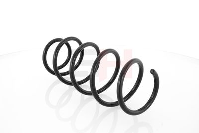 ARC SPIRAL GH GH204305 24