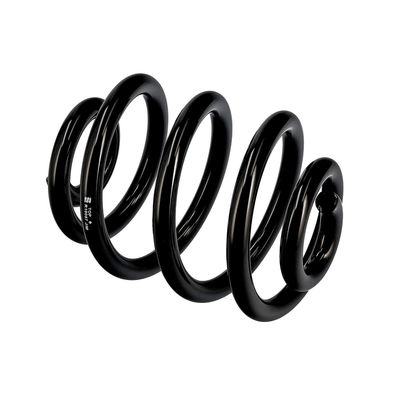 ARC SPIRAL EIBACH R10087 9