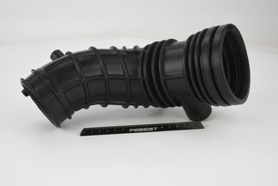 FURTUN ALIMENTARE AER FEBEST 03450001 51