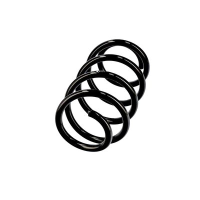 ARC SPIRAL EIBACH R10806 2