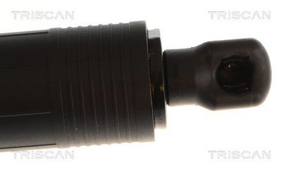 Kaasujousi, tavaratila TRISCAN 8710 43319