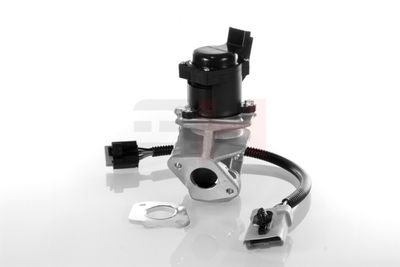 SUPAPA EGR GH GH732566 52