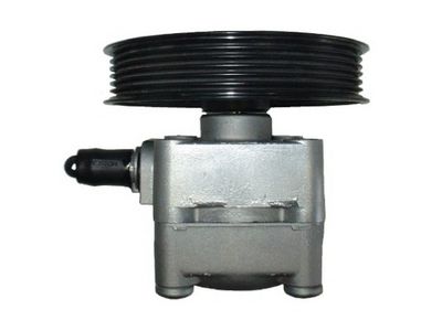 HYDRAULIKPUMPE LENKUNG SPIDAN 54427 2
