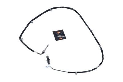 Jutiklis, išmetamųjų dujų temperatūra