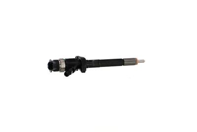INJECTOR REMANTE 002003001132R 34