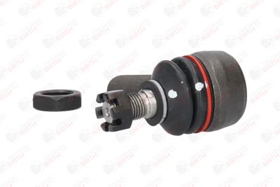 CAP DE BARA BIRTH TD3620 3