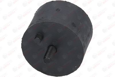 SUPORT MOTOR BIRTH 5183 11
