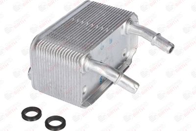 RADIATOR ULEI ULEI MOTOR BIRTH 80043 11