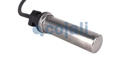 ABS senzor COJALI 2261499