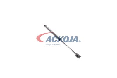 AMORTIZOR PORTBAGAJ ACKOJA A380164 22