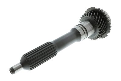 ARBORE INTRARE CUTIE DE VITEZA