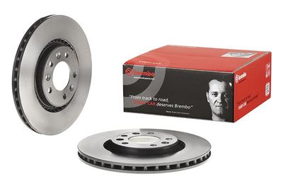 Brake Disc 09.D420.11