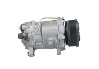 COMPRESOR CLIMATIZARE BV PSH 090205076876 3