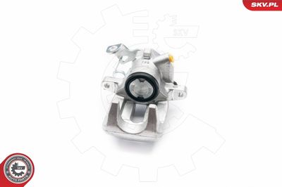 Brake Caliper 23SKV663