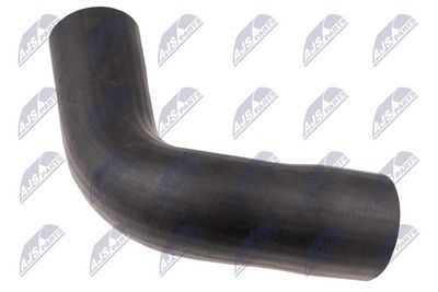 FURTUN EAR SUPRAALIMENTARE NTY GPPFT125 1