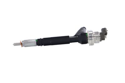 INJECTOR REMANTE 002003000084R 13