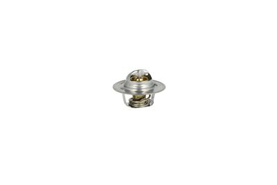 TERMOSTAT LICHID RACIRE NRF 725135 46