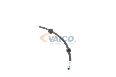 FURTUN FRANA VAICO V240328 10