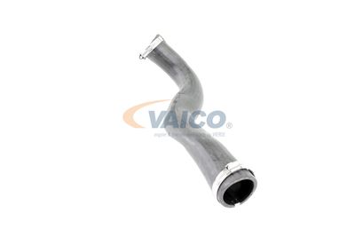 LADELUFTSCHLAUCH VAICO V103817 20