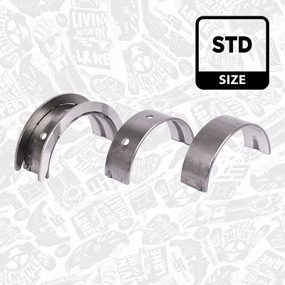 SET RULEMT ARBORE COTIT ET ENGINETEAM LH004800 2