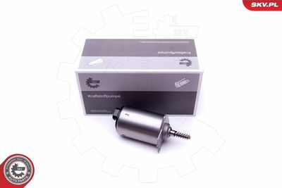 Řídicí prvek, excentrická hřídel (variabilní zdvih ventilu) ESEN SKV 96SKV087
