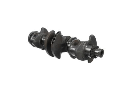 ARBORE COTIT ET ENGINETEAM HK0230 8