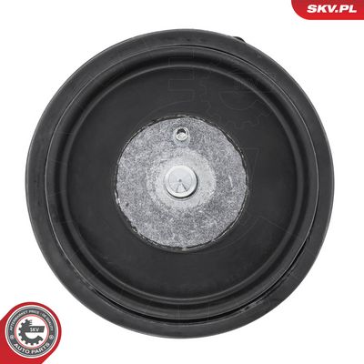 Uloženie, motor ESEN SKV 75SKV114