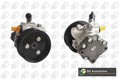 BGA Hydraulic Pump, steering PSP4203