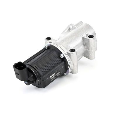 AGR-VENTIL DELPHI EG1030112B1 22