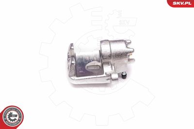 Brake Caliper 23SKV783