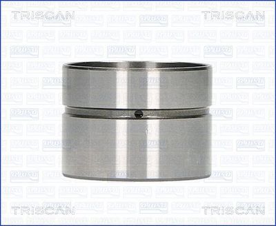 TRISCAN 80-11002 Сухарь клапана  для BMW 5 (Бмв 5)