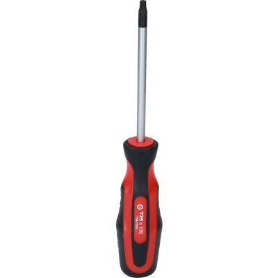 Ks Tools - skrutkovač TORX TB25, 205mm