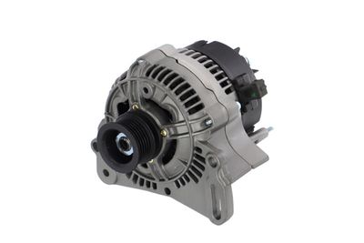 GENERATOR / ALTERNATOR REMANTE 011003000005R 65