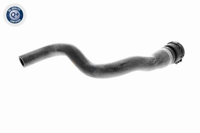 FURTUN RADIATOR VAICO V200901 5