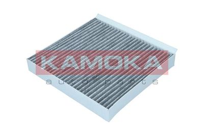 Filter, cabin air F514501