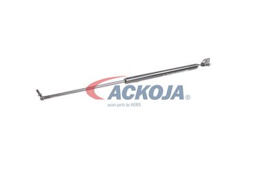 FILTRU AER ACKOJA A320034 31