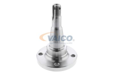 BUTUC ROATA CORP AXA VAICO V400793 22