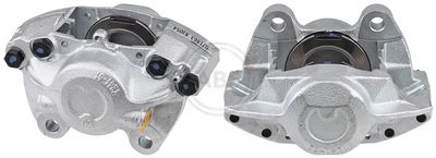 Brake Caliper 428581