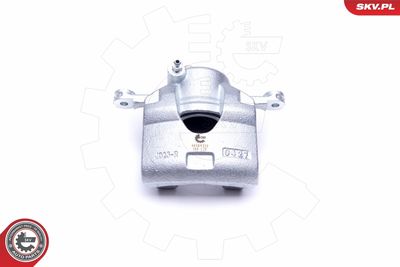 Brake Caliper 46SKV222