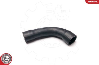 FURTUN EAR SUPRAALIMENTARE