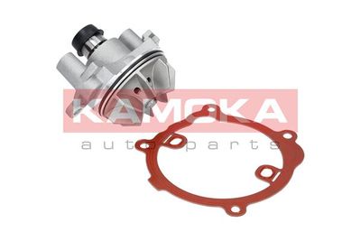 Water Pump, engine cooling T0216