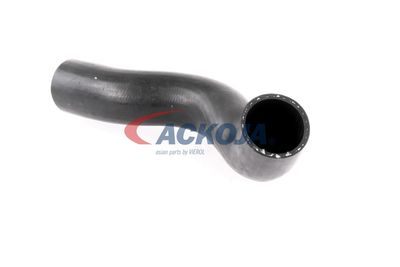 FURTUN EAR SUPRAALIMENTARE ACKOJA A380307 17