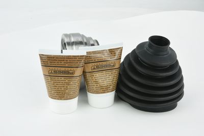 SET ARTICULATIE PLANETARA FEBEST 1710A5 25