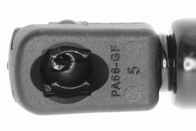 GASFEDER KOFFER-/LADERAUM VAICO V500039 1