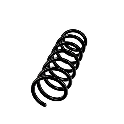 ARC SPIRAL EIBACH R10931 14