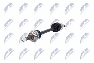 PLANETARA NTY NPWFR031 19