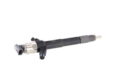 INJECTOR REMANTE 002003001019R 38